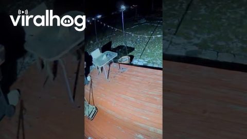Poltergeist or Just Alaska Wind? || ViralHog