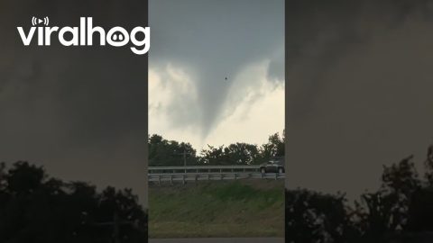 Man Witnesses the Birth of a Tornado || ViralHog