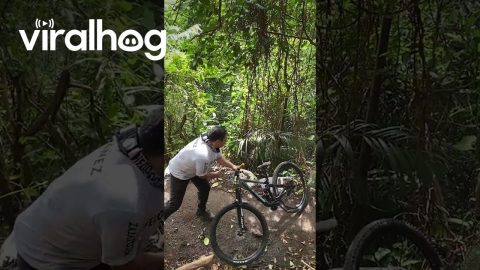 Downhill Mountain Biker Presses Eject || ViralHog