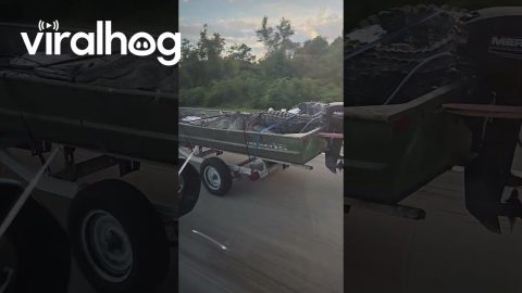 Just Another Day in Florida || ViralHog