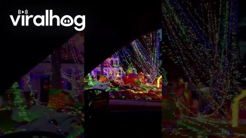 Christmas House Wonderland Wrapped in Lights || ViralHog
