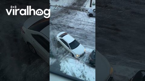 Denver Drivers Struggle on Icy Hill || ViralHog