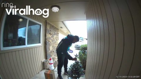 Thoughtful Delivery Driver Fixes Christmas Decorations || ViralHog