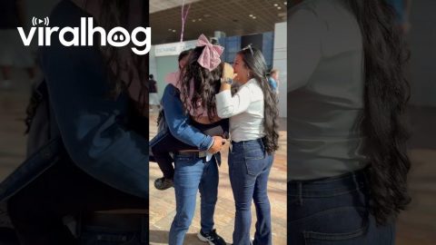 Daughter Reunited With Dad After a Year Apart || ViralHog