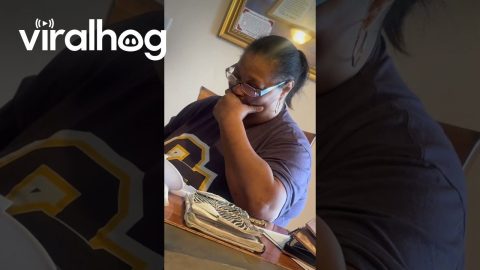 Mom's Budget Veneers Fail || ViralHog