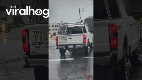 What A Business Name || ViralHog