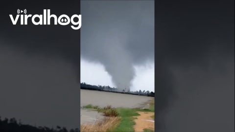 Massive Tornado Tears Through Southern Thailand || ViralHog