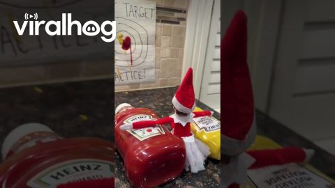 Elf on the Shelf Condiment Target Practice || ViralHog