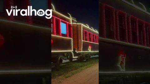 Steam Train Christmas || ViralHog