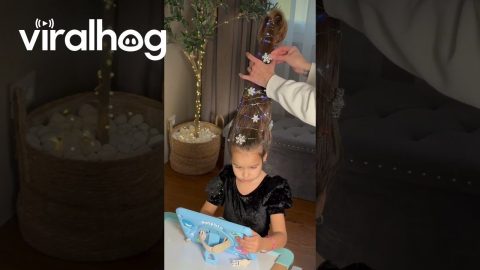 Funny Christmas Tree Hairstyle || ViralHog