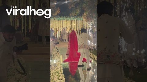 Camera Man Falls While Recording the Wedding || ViralHog