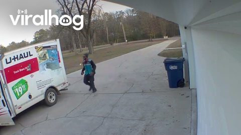 Delivery Hit and Run || ViralHog