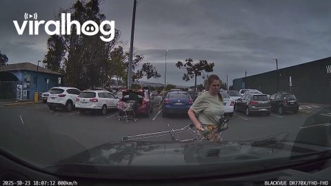Woman Abandons Her Shopping Cart || ViralHog