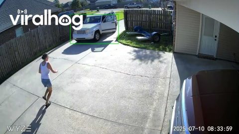 What Happens When You Don't Put Your Car in Park || ViralHog