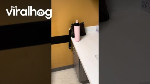 Abandoned at the Doctor's Office || ViralHog