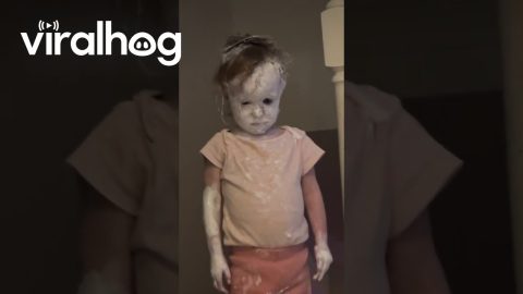 Diaper Cream Turns Kid Creepy || ViralHog