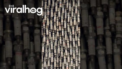 Bear Made Out of Spark Plugs || ViralHog