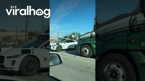 Waymo and 18 Wheeler Stand Off || ViralHog