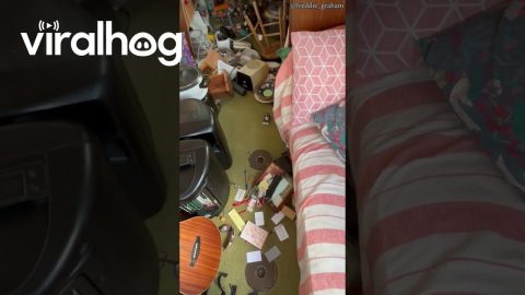 Fireboat Rattles Narrowboat Home On Thames River || ViralHog