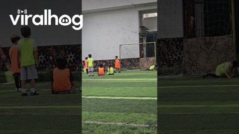 Young Goalkeeper Dives to the Wrong Side || ViralHog