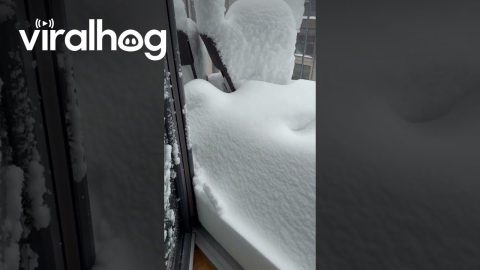 Snow Storm Hit Hamburg Germany || ViralHog