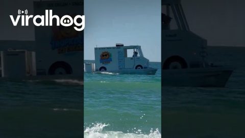 Floating Ice Cream Truck On Boat Platform || ViralHog