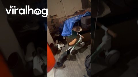 Wife’s Warns Husband Seconds Before Ceiling Collapse || ViralHog