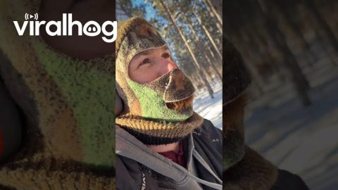 Tree Explodes in Freezing Temps || ViralHog