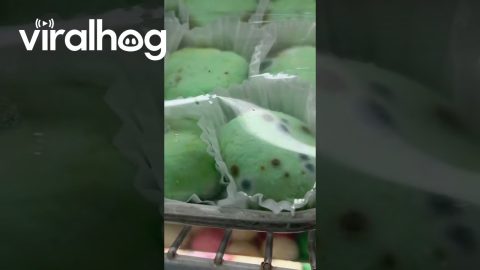 Mold in Famous NYC Restaurant || ViralHog