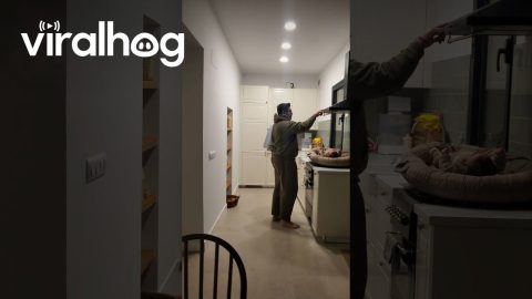Baby Soothed By Range Hood Fan || ViralHog