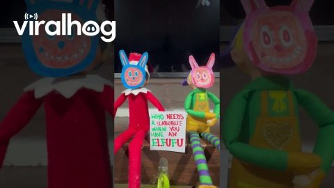 Elf on the Shelf Disguised as Labubu || ViralHog