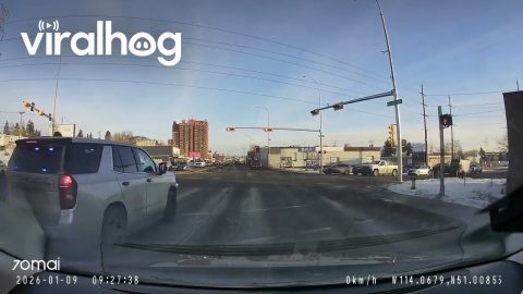 Apparent Red Light Runner Meets Conveniently-Placed Cop || ViralHog