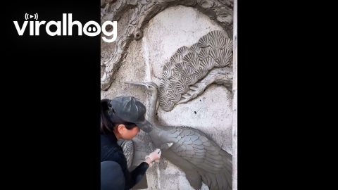 Chinese Woman Transforms Building Wall Into Detailed Cement Relief Artwork || ViralHog