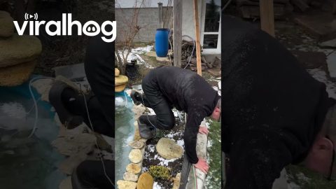 Fish Rescue Goes Wrong || ViralHog