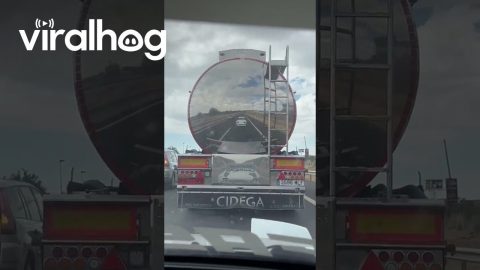 Car Winks At Itself In Truck's Reflection || ViralHog
