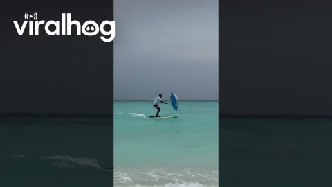 Surfing With Mary Poppins Energy || ViralHog