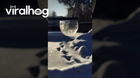 What Happens to a Soap Bubble at -25°C || ViralHog
