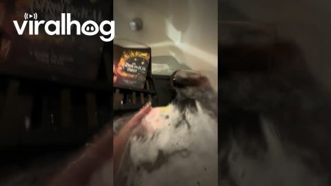 Peaceful Self-Care Bath Goes Wrong in Seconds || ViralHog