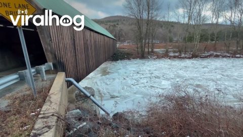 Ice Dam Flow at Vermont Covered Bridge || ViralHog