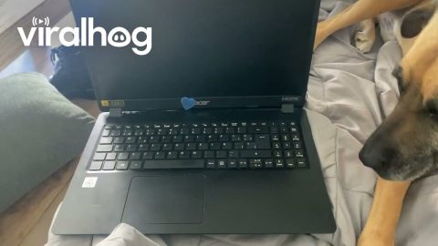 Computer Barely Hanging On || ViralHog