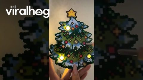 Creator Makes a Light-Up Pixel-Bead Christmas Tree || ViralHog