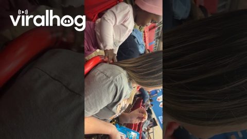 Pay the Baby Tax || ViralHog