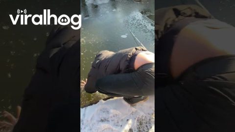 Man Trying To Grab Slippery Fish Falls Through Thin Ice || ViralHog