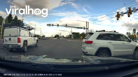 Illegal Left Turn on a No Turn Intersection || ViralHog