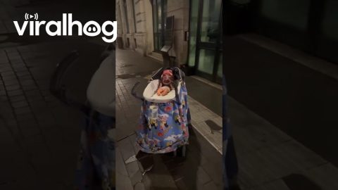 Clown Baby Street Performer In Rome || ViralHog