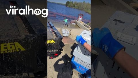 Rope Snaps and Man Takes a Dip || ViralHog
