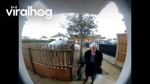 Wine Mom Wobbles Home || ViralHog