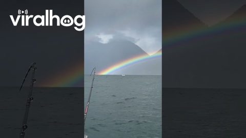 This Rainbow Hits Different || ViralHog