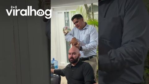 Giving A Bald Man The Perfect Ponytail || ViralHog