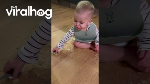 Spilled Food Doesn't Bother Boy || ViralHog
